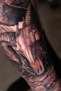 black and grey animal mistery